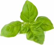 Picture - (min-width: 768px)