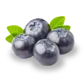 Picture - (max-width: 767px)